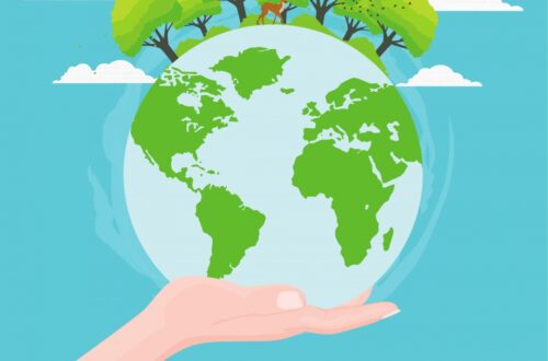 Green Climate World ile Yeşil Bir Dünya